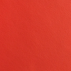 Carminio | Aniline Leather 1.4 mm