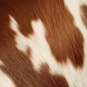 Brown & White | Haired Hide