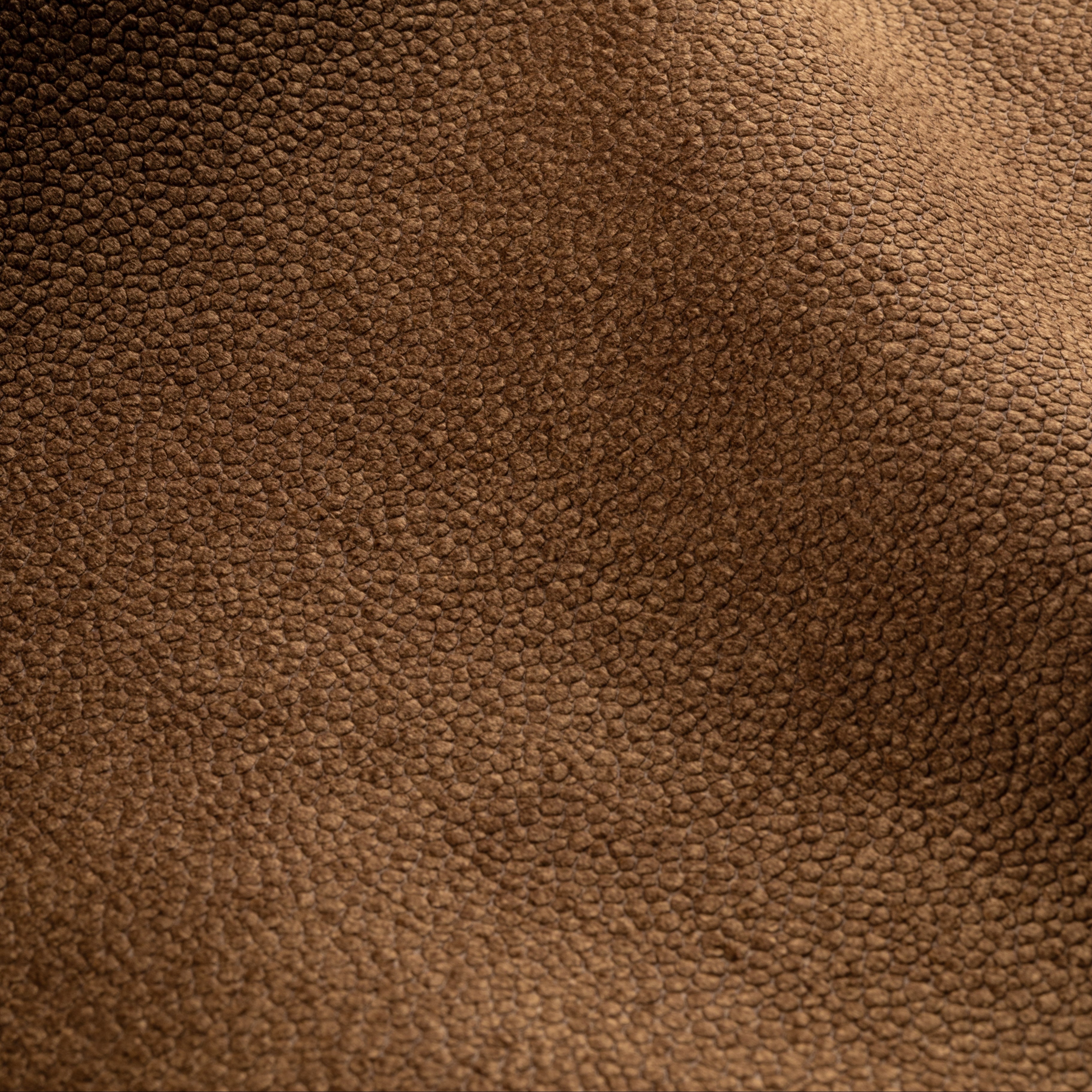 This embossed vegan sueded leather has the rough charisma of a true Argentinian gaucho, and the soft touch of its beloved horses. The longer pile of suede on top gives it a luxurious look and feel. It brings artisanal texture and authentic character to any piece.

COMPOSITION: 100% PES
WEIGHT: 518 g/m²
MARTINDALE ABR. EP: 25k+ Rubs