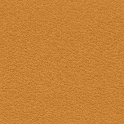 Dorato | Aniline Leather 1.2 mm