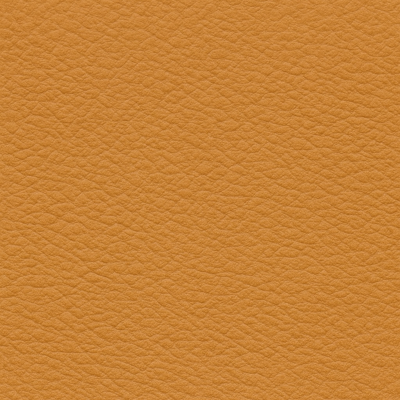 Dorato | Aniline Leather 1.2 mm