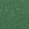 Foglia Fresca | Aniline Leather