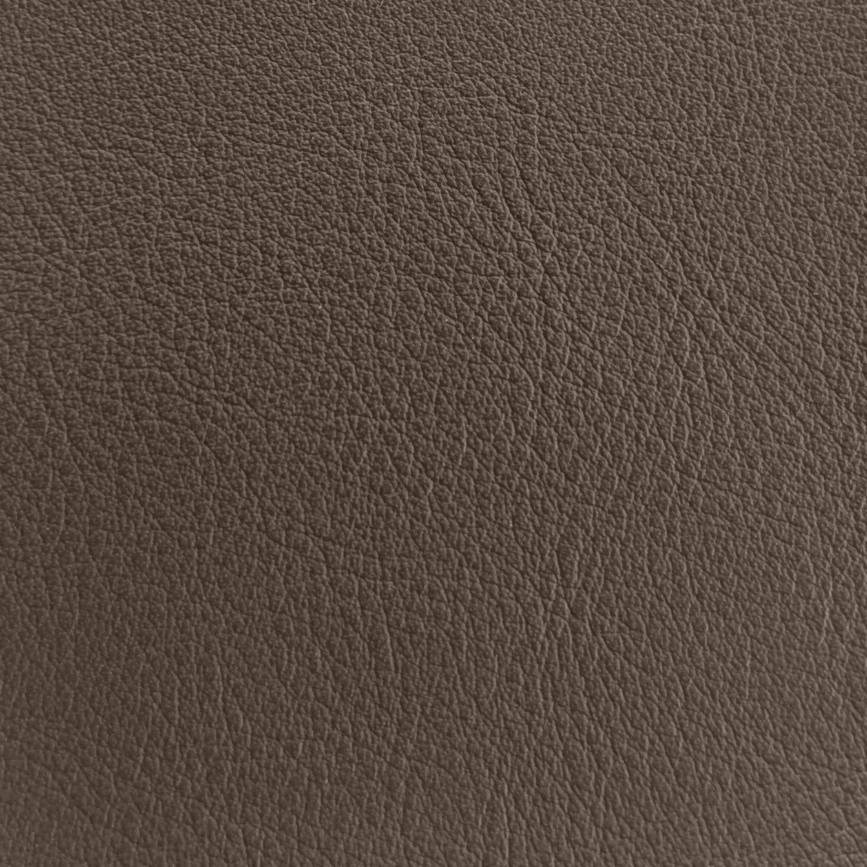 Leather Swatches