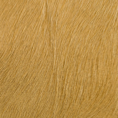 Gold | Haired Hide