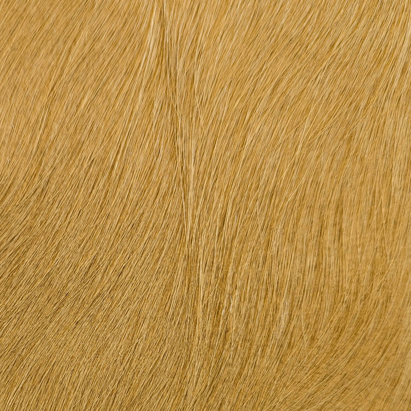 Gold | Haired Hide