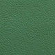 Foglia Fresca | Aniline Leather