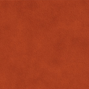 Cotto | Aniline Sueded Leather