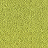 Lime | Teddy Bouclé