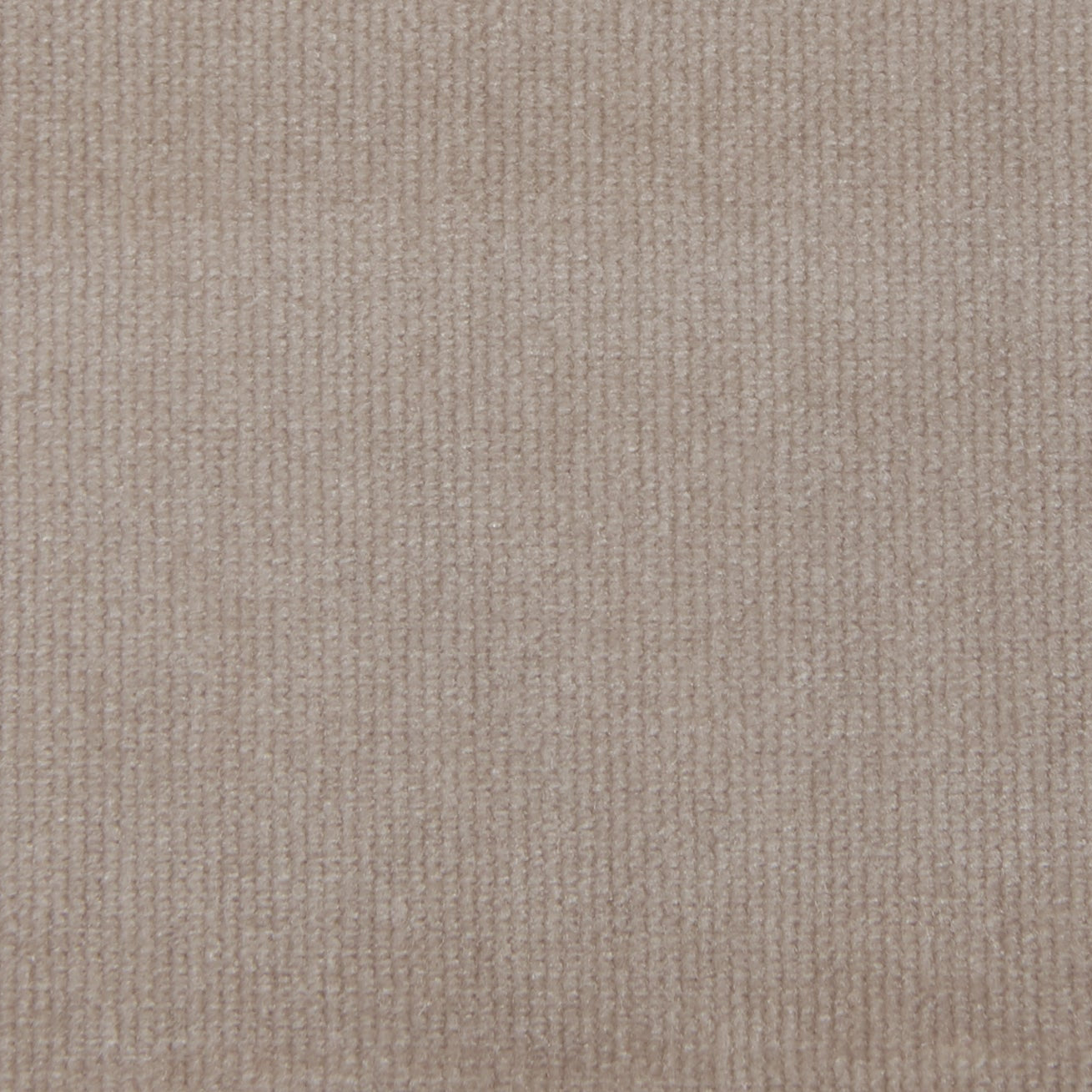 Heavyweight Woven Velvet | Fabric