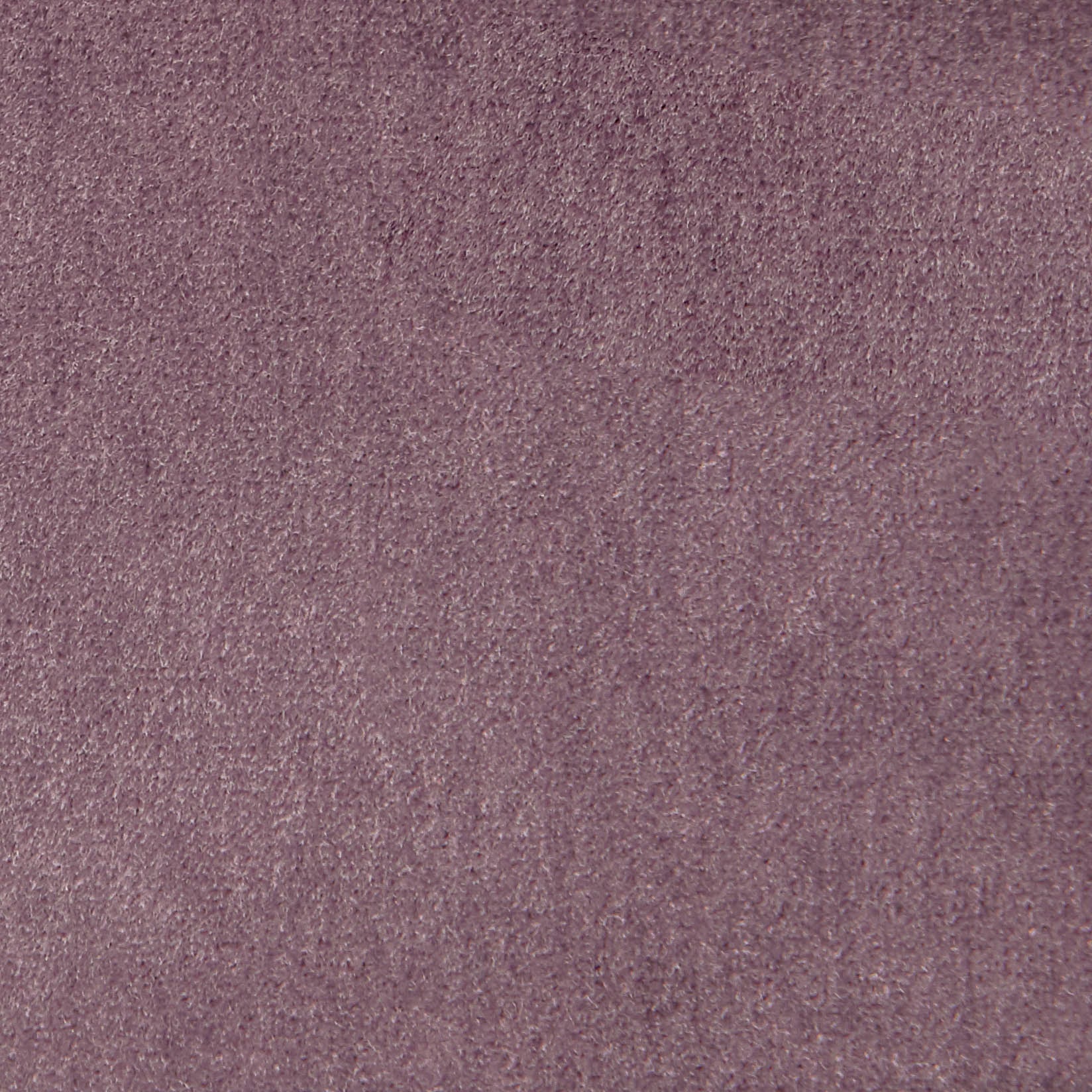Plush Woven Velvet | Fabric